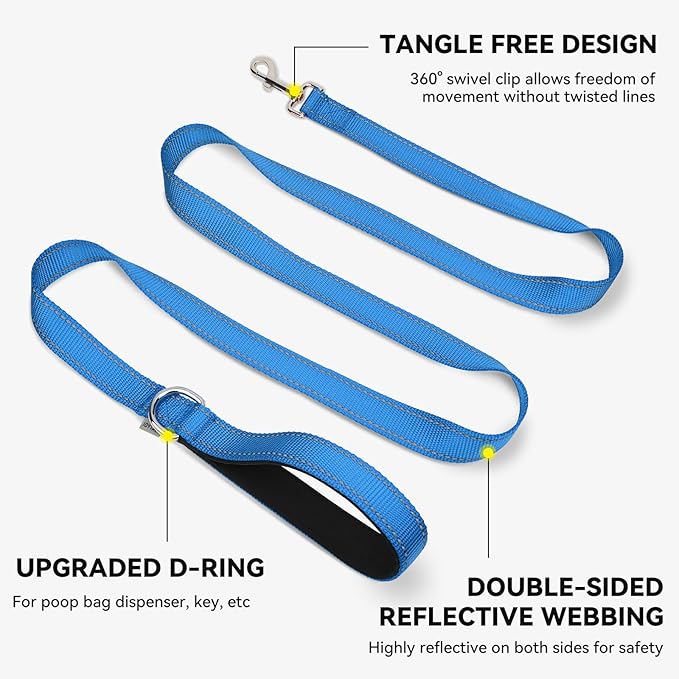 Joytale Dog Leash, 5 FT Double-Sided Reflective, Padded Handle Nylon Heavy Duty Leashes for Small Dogs Walking, Sky Blue