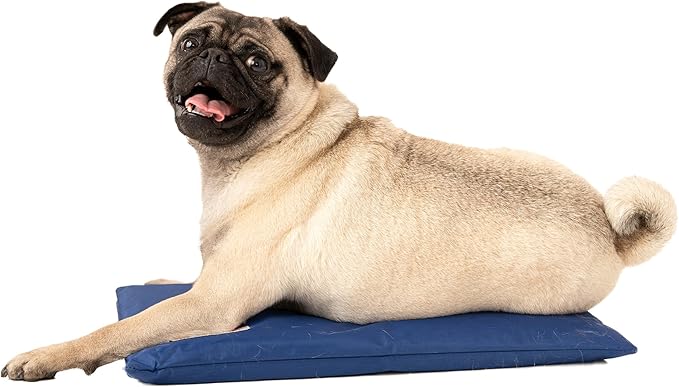 CoolerDog Dog Cooling Pad Dog Cooling Products Hydro Cooling Mat (18"x10.5") (Mini)