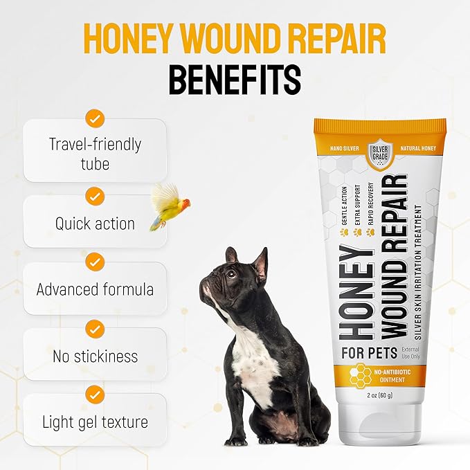 Cat Wound Care Gel for Scratches, Bites, & Irritations – Hot Spot Treatment for Cats & Kittens – Honey Wound Repair Ointment in Gel Form with Colloidal Silver & Honey for Topical Use – 2 Oz Tube