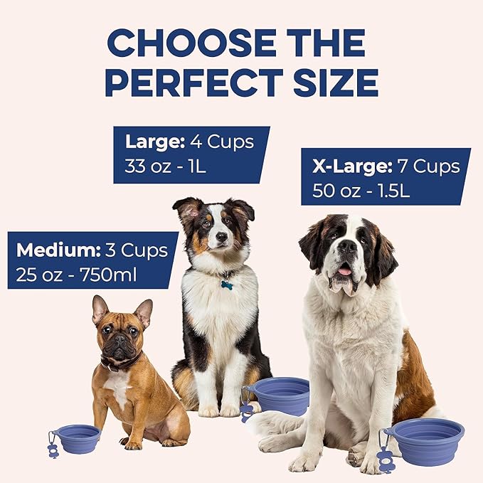 Bonza Collapsible Dog Bowls - Small 12 oz, Dog Travel Accessories, Silicone Portable Dogs Bowl & Water Dish with Reinforced Rim & Carabiner for Hiking, Camping, and Car Trips, Light Gray