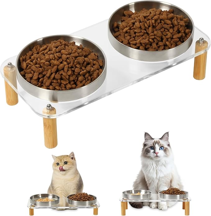 Elevated Cat Bowls for Indoor Cats – Clear Acrylic Cat Food Table with 2 Stainless Steel Dishes, Adjustable Height (4.05"/2.87"), Set of 1