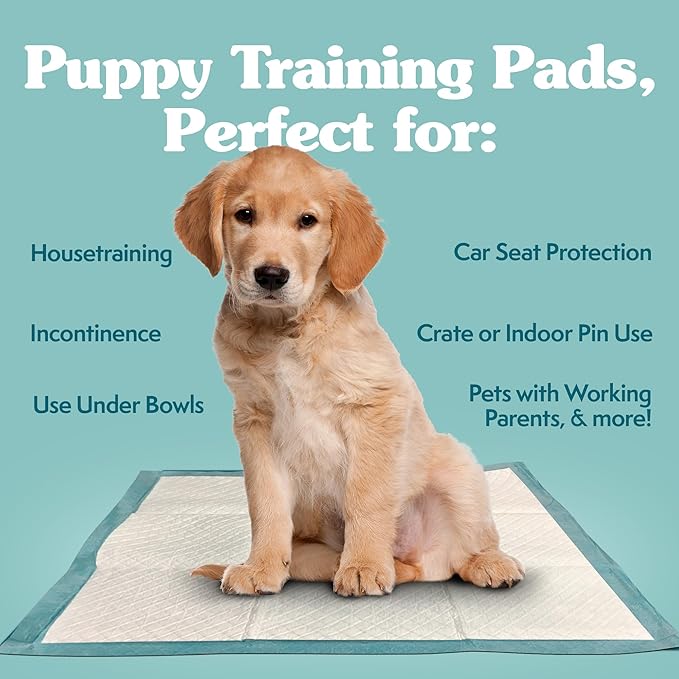 Simple Solution Extra Large Puppy Training Pads – Leak-Proof Disposable Pee Pads for Dogs with Incontinence – Absorbent with Odor Control – 28 x 30 Inches – 200 Count
