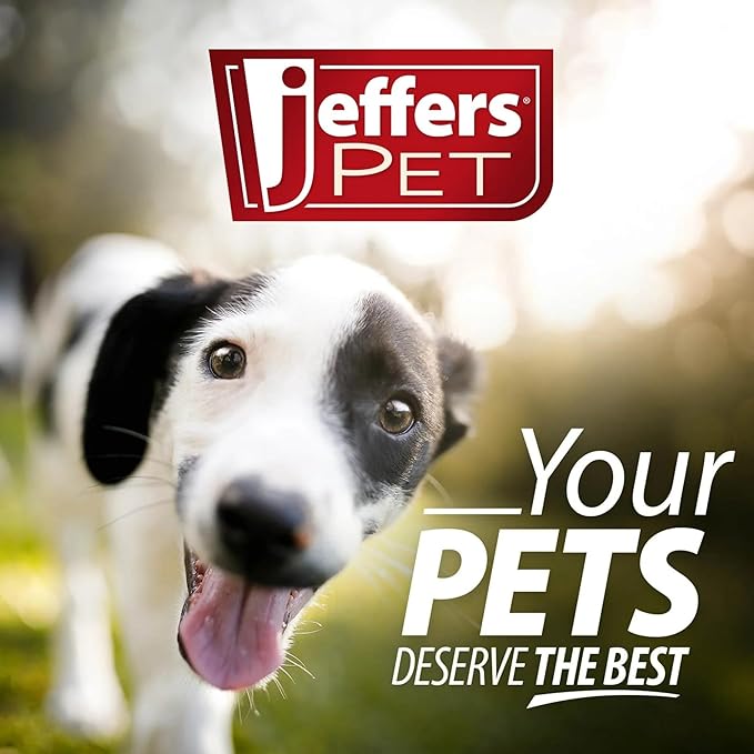 Jeffers Pet Fleecy Red Heart Plush Squeaker Dog Toy, 6.5" - Soft Heart Shaped Fleece Toy for Gentle Play, Plush for Puppies, Idea for Valentine’s Day, Christmas, or Everyday Use