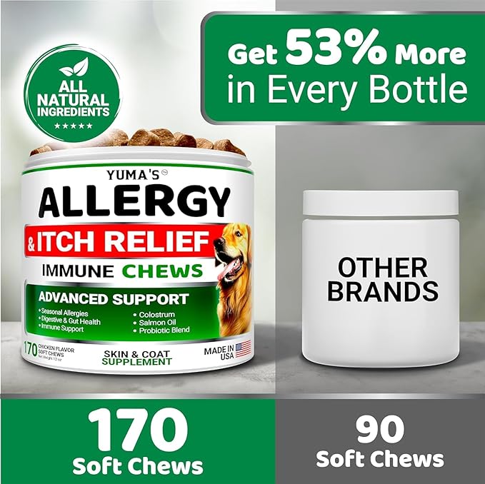 2-Pack Dog Allergy Relief Chews - Dog Itching Skin Relief Treatment Pills - Anti-Itch Chewables - Itchy and Paw Licking - Hot Spots - Omega 3 Fish Oil - Dry Skin & Coat Supplement