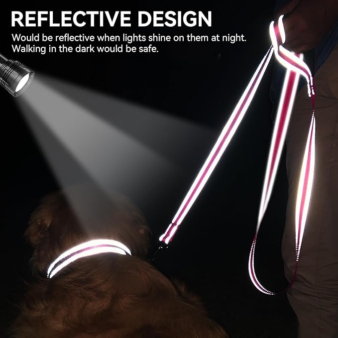 Joytale Dog Leash, 4 FT Double-Sided Reflective, Padded Handle Nylon Heavy Duty Leashes for Medium & Large Dogs Walking, Hotpink