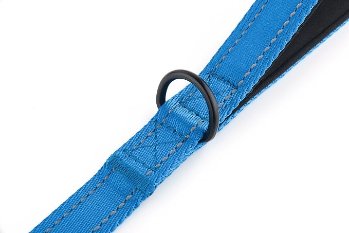 Primal Pet Gear Dog Leash 6ft Long,Traffic Padded Two Handle,Heavy Duty,Reflective Double Handles Lead for Control Safety Training,Leashes for Large Dogs or Medium Dogs,Dual Handles Leads(Blue)