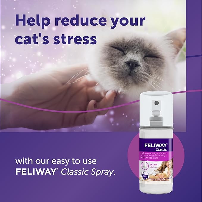 FELIWAY® Classic Cat Calming Spray, 60ml - Comforts Cats at Home and On the Go and Helps to Calm During Travel