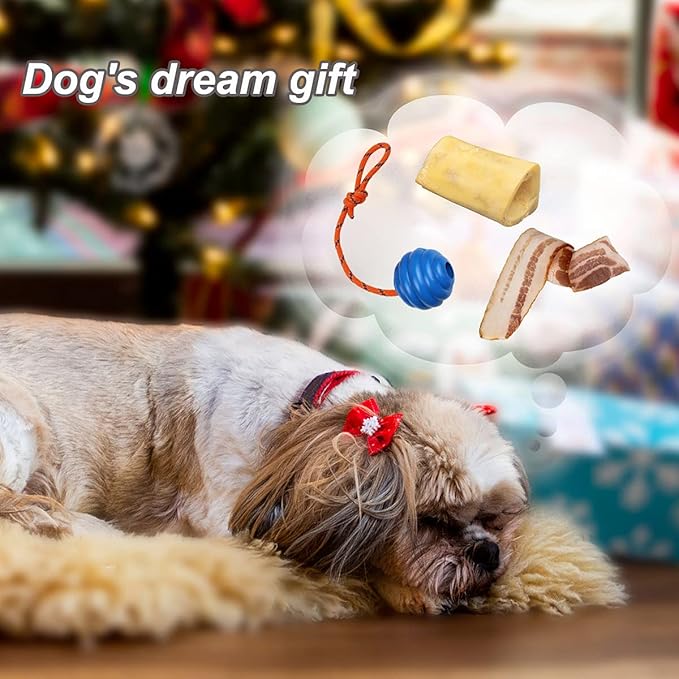 K9 Training Ball with Rope - Indestructible Dog Toy for Training, Pull, Throw, Tug and Fetch - Belgian Malinois Gifts (Blue)
