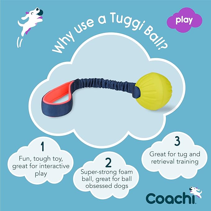 Coachi Tuggi Ball - Interactive Dog Toy for Tug of War & Play. Strong & Comfortable, Stretchy Bungee Handle with Foam Ball, Ideal for Agility and Reward Training, Interrupting Biting & Chewing