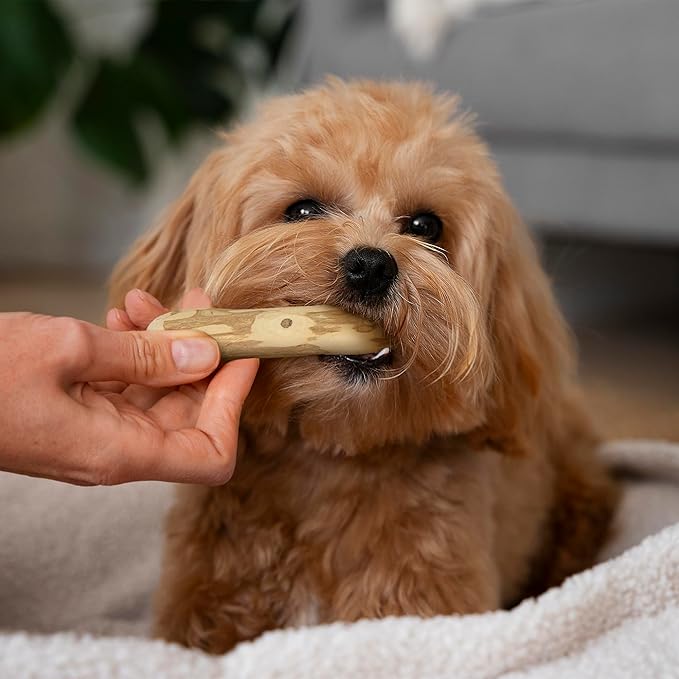 Wildfang® Coffee Wood Dog Chew, XS - Tough Chew Toys for Aggressive Chewers, Dog Teething Toys for Puppies, Training for Chewing Muscles, Coffee Tree Sticks for X-Small Dogs (Under 22 lbs), Pack of 3