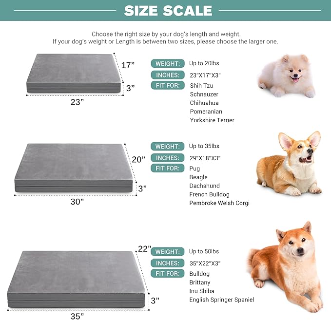 Waterproof Small Dog Bed Crate Pad 24 inch, Outdoor Washable Puppy Bed Orthopedic with Removable Cover Reversible, Foam Cat Bed Kennel Pad 23" x17, Durable Anti-Slip Bottom, Gray