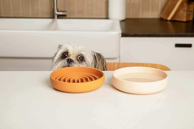 Should We Go? Dog Water Bowl - The Perfect Dish No-Spill, Less Mess Non-Tippable Water & Food Bowl, Pure Silicone with Suction Cup Fits 2 Cups 6” Across x 1.25” Tall Ideal for All Pets, Small-Charcoal