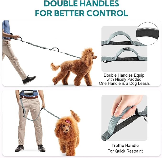Hands Free Dog Leash with Pouch, Double Leash for Two Dogs, Retractable Bungee with Double Padded Handles, Waist for Dog Walking, Running for Dogs, Dog Walking Accessories