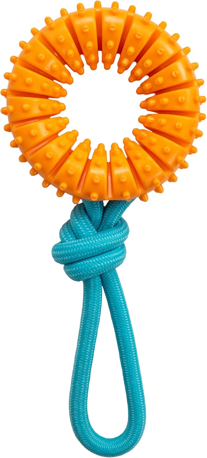 Dental Chew Wheel Dog Toy – Ring & Rope Tug, Multi-Textured, Soft on Teeth, Moderate Chewers, Mint Scented, 9"
