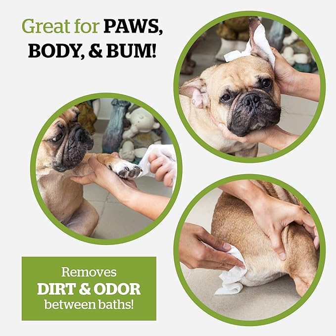 Pogi’s Dog Wipes Travel Packs – Hypoallergenic Pet Wipes for Paws, Body & Butt – Cleaning & Hydrating, Fragrance Free, 240-Count