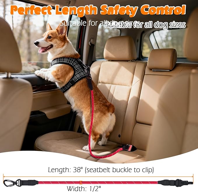 PetBonus Dog Seat Belt for Car, Durable Rope Dog Car Harness Seatbelt for Vehicle, Pet Tether Safety Restraint with Heavy Duty Buckle Hook Latch Lockable Clip for Small Medium Large Breeds (Red)