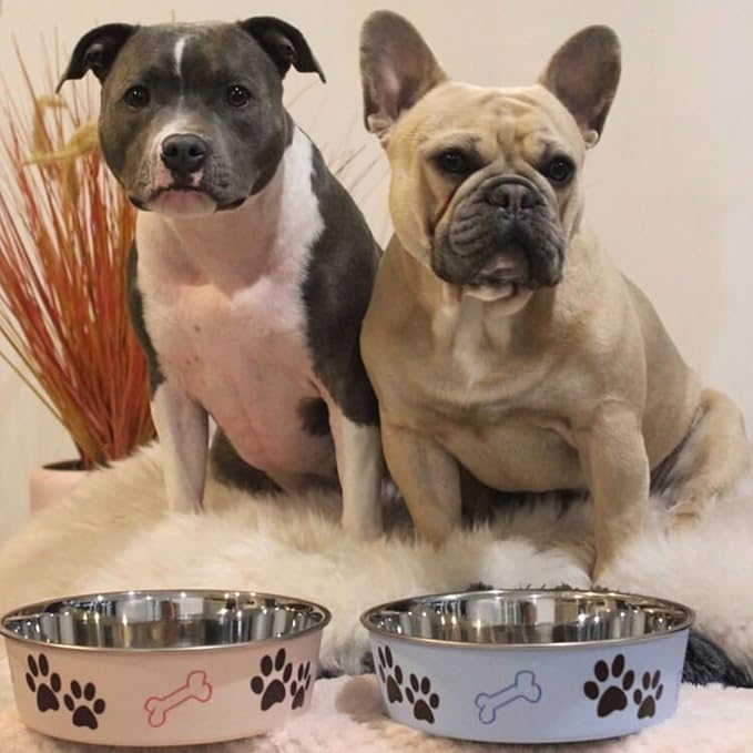Loving Pets Bella Dog Bowls- Stainless Steel Dog & Cat Bowls - Spill Proof Dog Food Bowl, Cat Bowl, Puppy Essentials & Pet Supplies Great for Home & Travel (Large 35-65 lbs, Murano Blue)