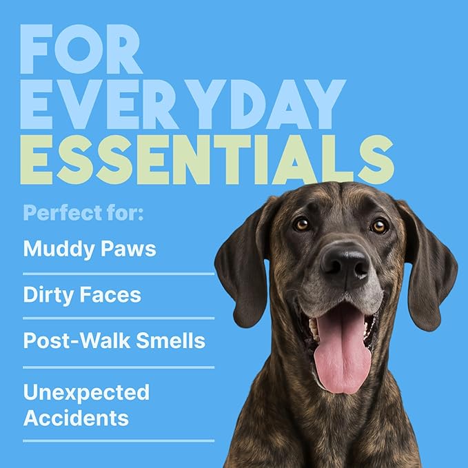 TropiClean Hypoallergenic Cleaning Pet Wipes, 100ct - Wipes for Dogs, Cats, Puppies & Kittens with Sensitive Skin - Gently Removes Dirt & Dander - Fragrance Free