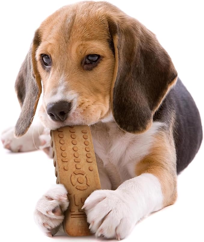 The Chew Club Powerbone TV Remote 7" Chew Toys for Dogs