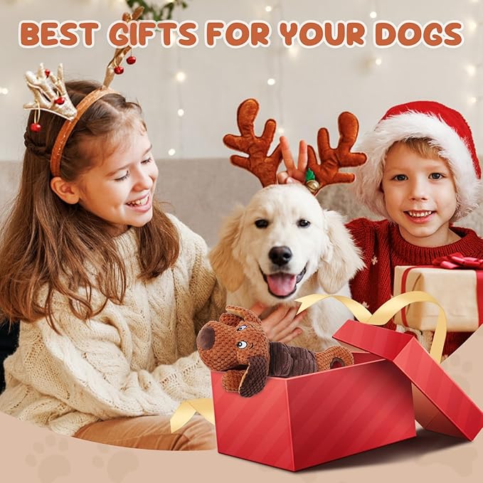 Erhalithegro Squeaky Dog Toys,Interactive Tug of War Puppy Toys for Indoor/Outdoor Use Puppy Chew Toys for Teething Plush with Crinkle Paper for Small and Medium