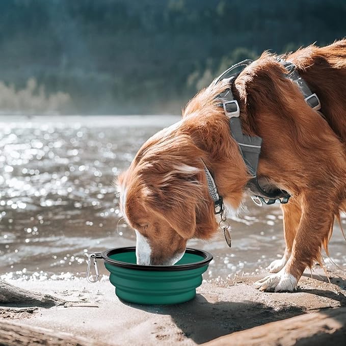 COOYOO Collapsible Dog Bowl,2 Pack Collapsible Dog Water Bowls for Cats Dogs,Portable Pet Feeding Watering Dish for Walking Parking Traveling with 2 Carabiners
