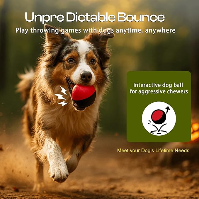 Squeaky Dog Ball for Aggressive Chewers – Durable Rubber Training Ball for Outdoor Fetch & Recall, High Bounce Interactive Dog Toy for Medium & Large Dogs, with Floating Water Feature for Pool & Beach