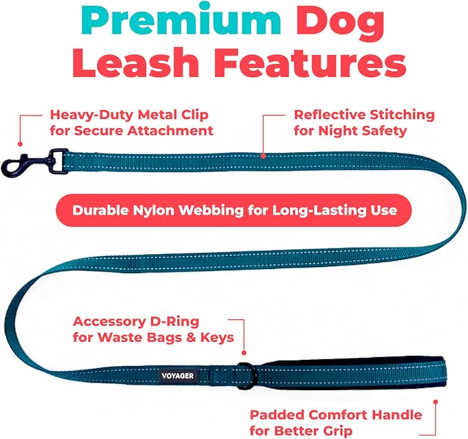 Best Pet Supplies Voyager Reflective Dog Leash or Collar with Neoprene Handle, for Small, Medium, and Large Breed Puppies, Cute and Heavy Duty for Walking, Running and Training - Blue (Leash), L