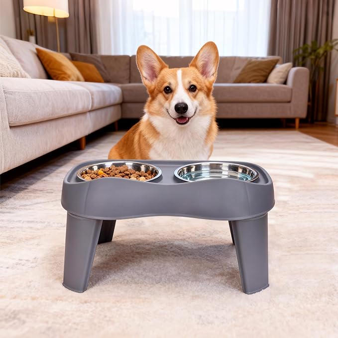 Petizer Small Sized Elevated Dog Bowls, No Spill Pet Feeder, Raised Bowl Stand with 2 Thick 35OZ Stainless Steel Food and Water Bowl Set, Grey (for Small/Medium Dogs)
