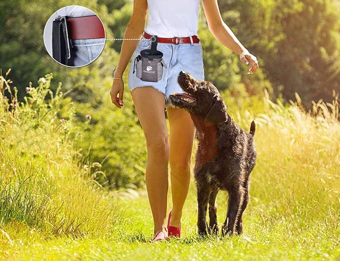 AMZNOVA Dog Treat Bag Treatnow Dog Treat Pouch, Training Pouch with Waist Belt & Clicker for Training & Walking, Waist Clip On Snack Fanny Pack for Pet, 3Cups, Heather Coffee