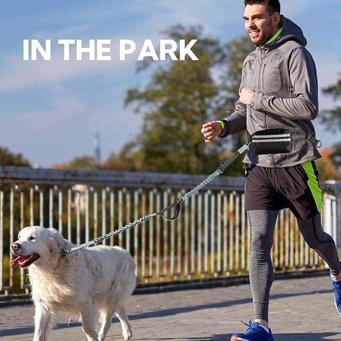 Hands Free Dog Leash with Pouch, Double Leash for Two Dogs, Retractable Bungee with Double Padded Handles, Waist for Dog Walking, Running for Dogs, Dog Walking Accessories