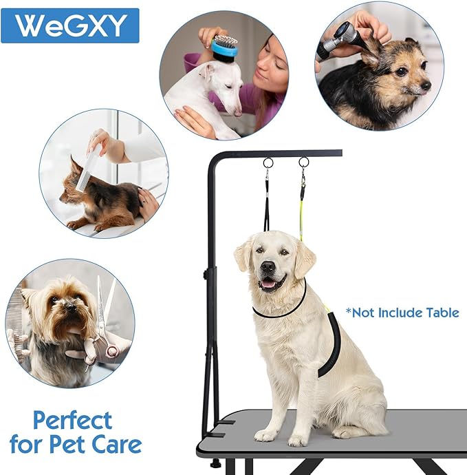 Dog Grooming Arm, Adjustable Pet Grooming Arm with Clamp for Small and Medium Dogs,Grooming Loop and No Sit Haunch Holder (Black, 42" H Arm + Heavy Duty Double Clamp + Hammock)