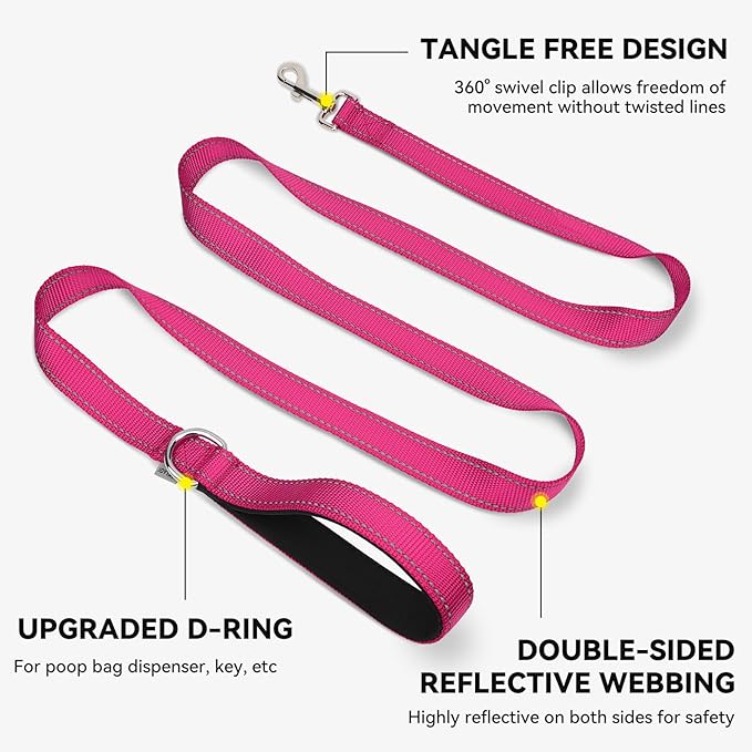 Joytale Dog Leash, 4 FT Double-Sided Reflective, Padded Handle Nylon Heavy Duty Leashes for Small Dogs Walking, Hotpink