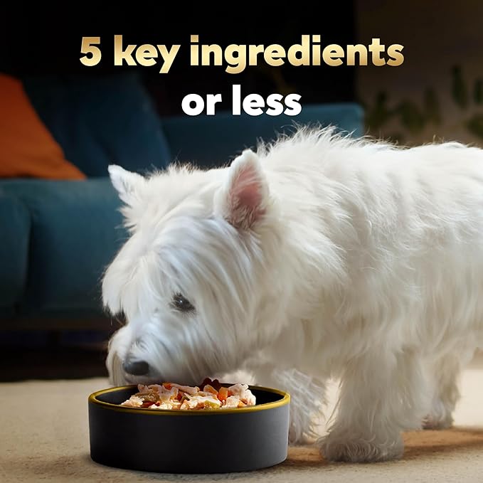 Cesar Simply Crafted Adult Wet Dog Food Toppers for Dry Food, Chicken, Carrots & Green Beans, 1.3 oz Tubs, 10 Count