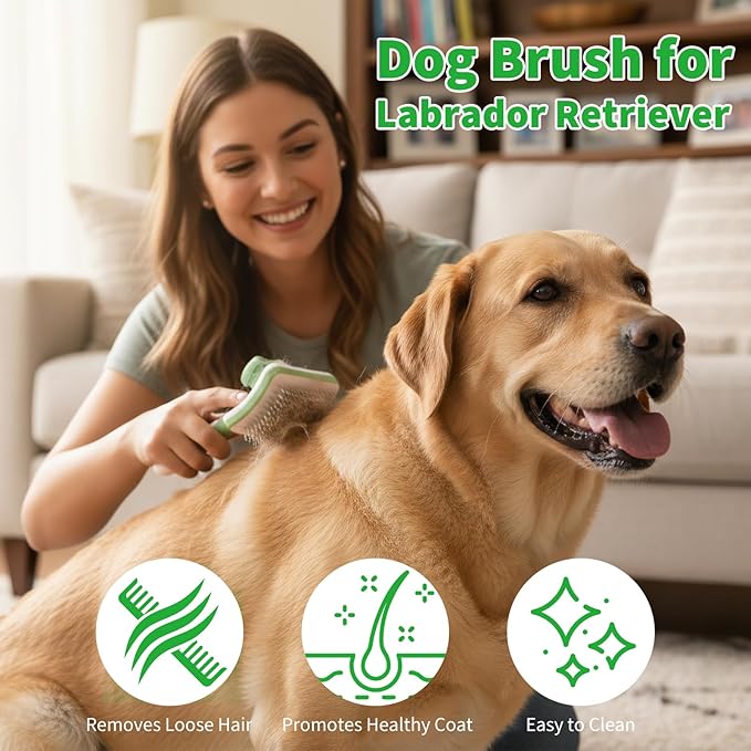 Self Cleaning Slicker Brush - Dog Brush for Labrador Retriever, Deshedding Grooming Tool for Dogs, Deshedding and Hair Eliminate for Long and Short Haired Dogs, for Clear Away Tangles, Knots and Mats