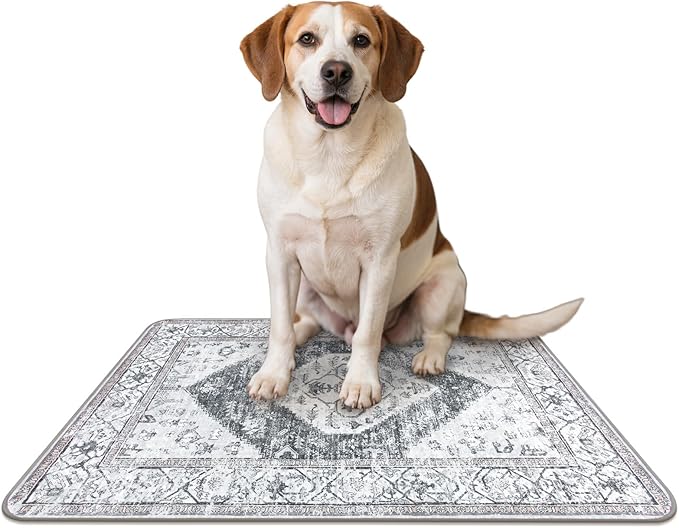 Lahome Reusable Washable Puppy Pads - 2 Pack Super Absorbent & Waterproof Dog Training Mats for Potty, Crate and Floor - Leakproof Pee Pads with Non-Slip Backing (Gray, 36"x48")