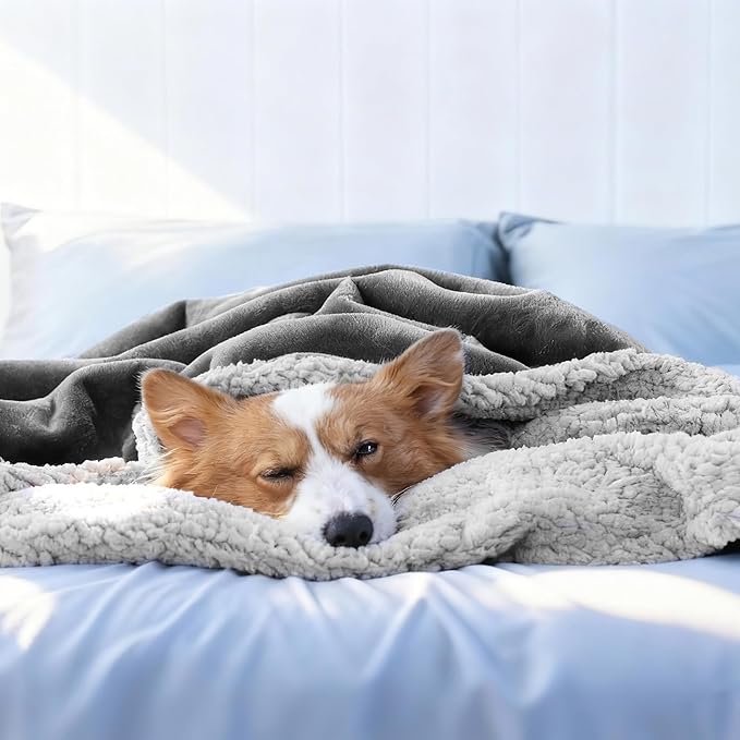 Makigued Waterproof Dog Blanket for Couch & Bed, Reversible Sherpa Fleece Pet Throw with Quiet TPU Barrier, Machine Washable Furniture Protector for Large Dogs & Cats, Throw Size 50x60 Inch, Gray