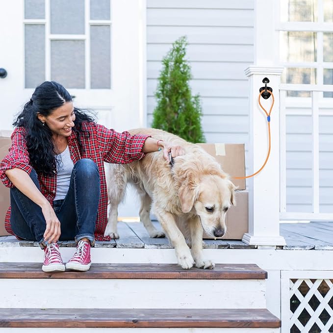 Lifeswell Dog Leash Holder for Wall, Heavy Duty Hook for Lead Management, Easy to Install, Fully Welded Hook for Indoor & Outdoor Use, Black