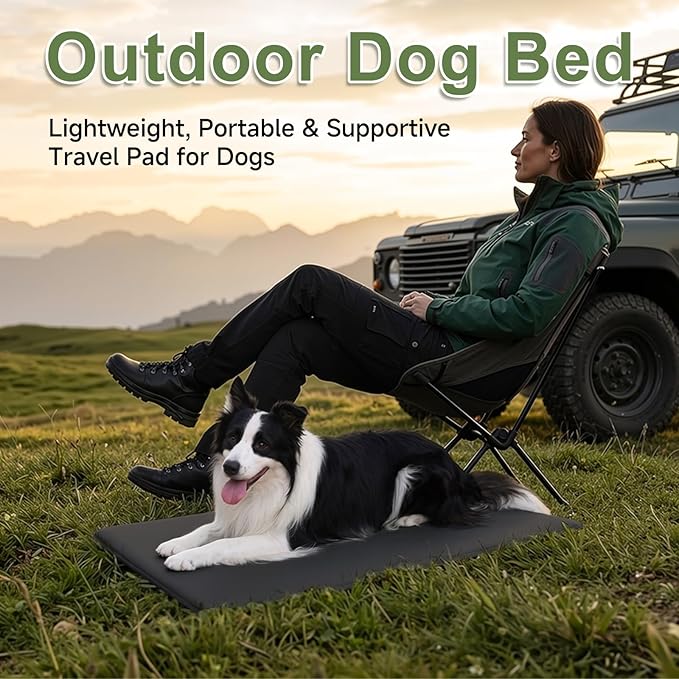 Outdoor Dog Crate Pad, Reversible Waterproof Crate Mat Bed, Wipeable Kennel Mat Pet Sleeping for Medium Large Dogs, Waterproof, Wipeable, Anti-Slip, Kennel Pads 35 x 22 Inch, Black