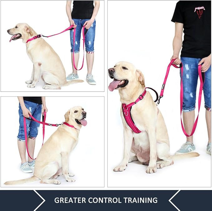 Plutus Pet Double Handle Dog Leash 4ft, Heavy Duty, Reflective Dual Handle Dog Leash for Safety Training, for Medium Large Dogs,2 Handle Leads(Pink)
