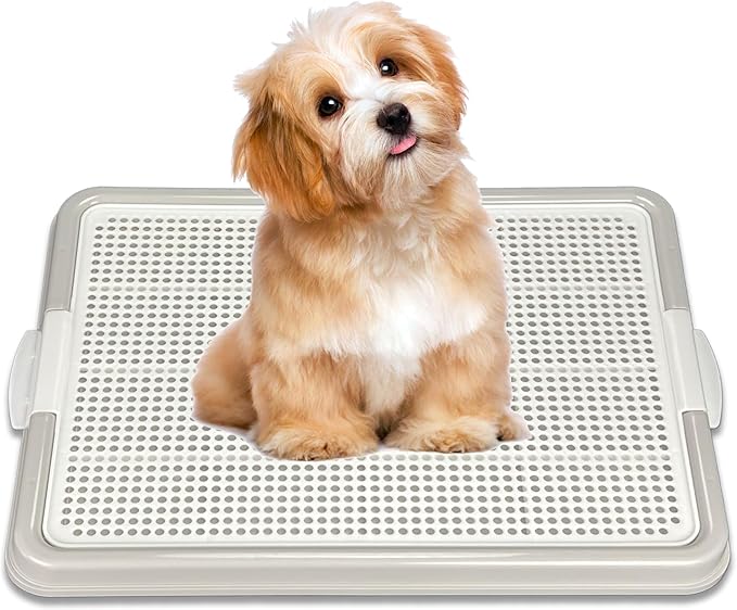 Pets-N-Me Dog Pee Pad Holder, Puppy Potty Training Tray 22.5”X16.5” for Small Dogs (Gray)
