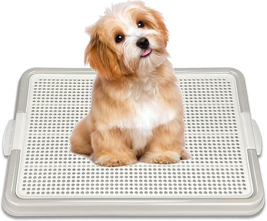 Pets-N-Me Dog Pee Pad Holder, Puppy Potty Training Tray 22.5”X16.5” for Small Dogs (Gray)