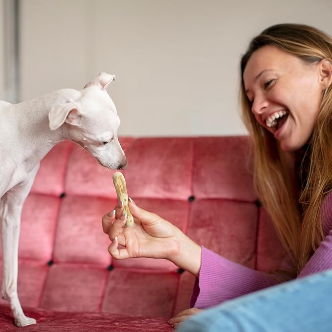 Wildfang® Coffee Wood Dog Chew, XS - Tough Chew Toys for Aggressive Chewers, Dog Teething Toys for Puppies, Training for Chewing Muscles, Coffee Tree Sticks for X-Small Dogs (Under 22 lbs), Pack of 3