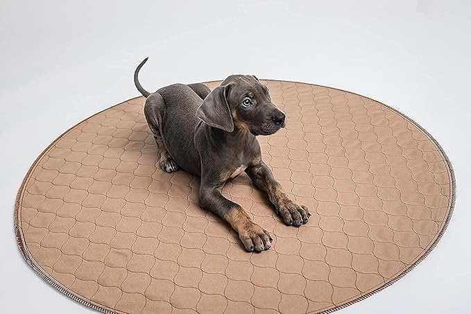 EZwhelp Reusable Dog Pee Pad, Washable Waterproof Mat for Dog Potty Training or Whelping Pad, Round, 60 Inch