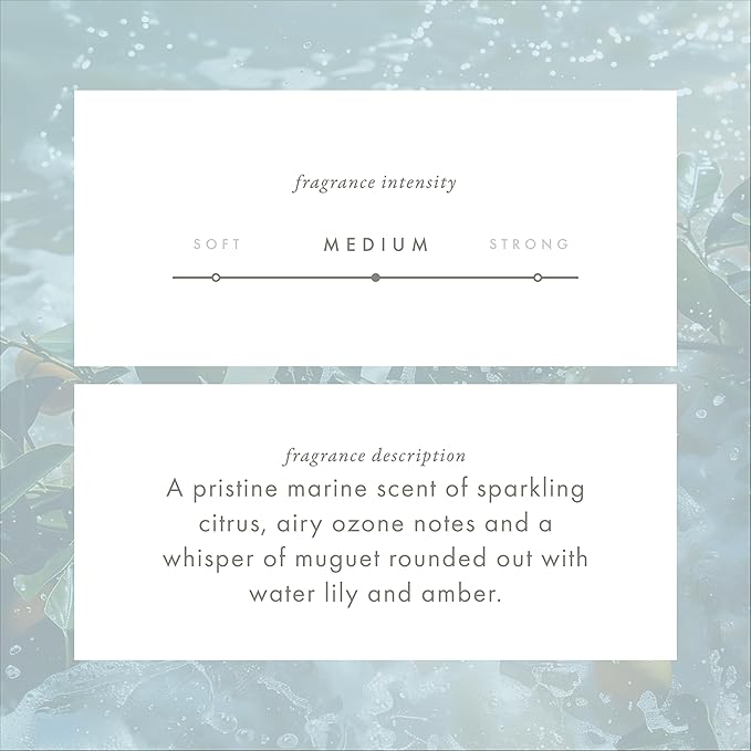 ScentAir Whisper Home Monthly Plug-in Refill, Fragrance Cartridge for Home and Office, Ocean