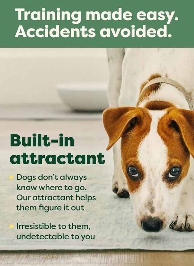 Earth Rated Max Absorbency Puppy Pee Pads for Dogs Absorbs 2X Faster & 2X More, Leak-Proof, Odor Control Potty Training, Unscented, 3XL, 36” x 36”, 24 Count