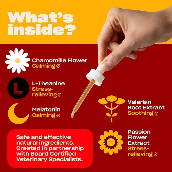 OH NORMAN! Calm Down! by Kaley Cuoco - All-Natural Calm Supplement for Dog Stress Relief - Vet Nutritionist Approved for All Life Stages and Breeds - 1 Fl Oz Calming Supplements for Dogs