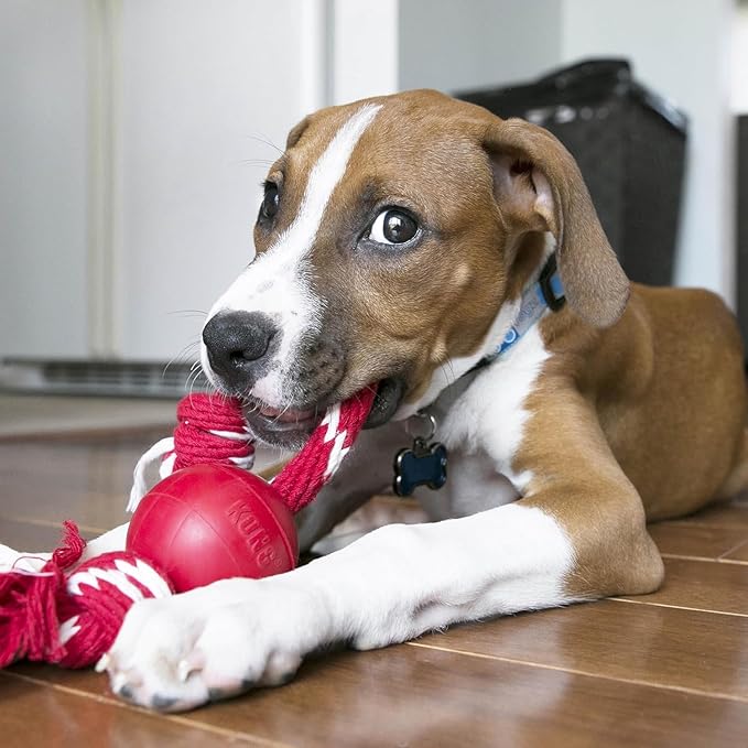 KONG Ball with Rope - Durable Fetch Toy with Rope for Easy Throwing - For Tug, Playtime & More - Natural Rubber - Red - For Small Dogs