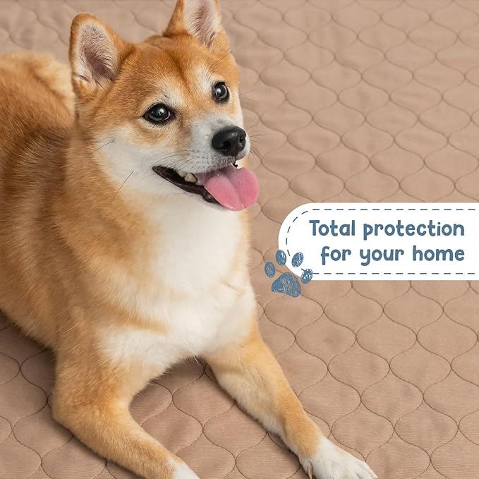 EZwhelp Reusable Dog Pee Pads - Waterproof Training Pads for Dogs - Washable & Sanitary - Rounded Corners - Laminated, Lightweight, Durable - Pet Essentials for Puppy Training and Whelping - 72" x 72"