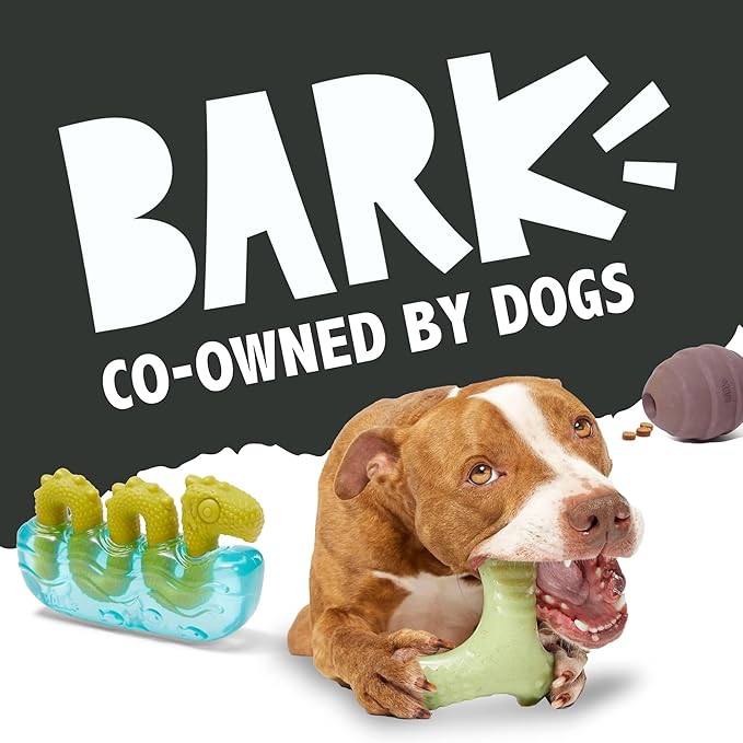 Barkbox Tough Break Bacon Dog Toy | Solid Nylon Bacon-Scented Dog Toy for Aggressive Chewers | Durable Dog Chew Toy for Medium & Large Dogs