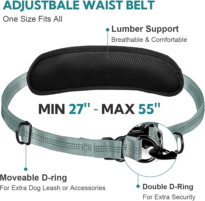 Hands Free Dog Leash with Pouch,Double Leash for Two Dogs